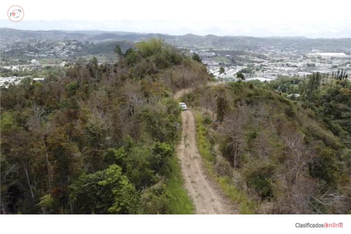 Cayey, 29 cords, 2 min from PR-52