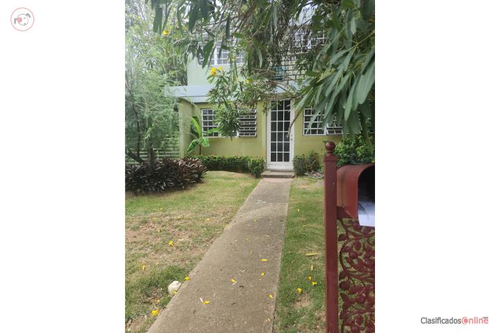 Male 2BR/1BA, A+++ air conditioning, light 319-4441
