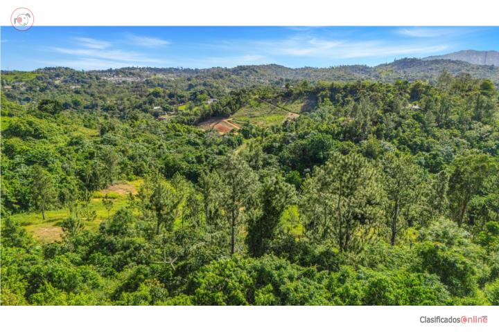 Bo. Beatriz - Monticello Sector, Cidra, PR 00739