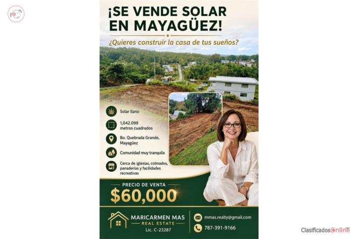 1,042.099 sq m Lot in Bo. Qda. Grande, Mayagüez