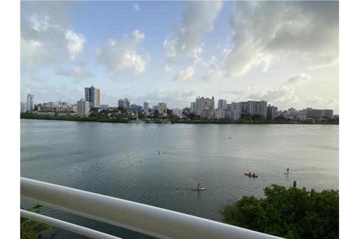 Regatta