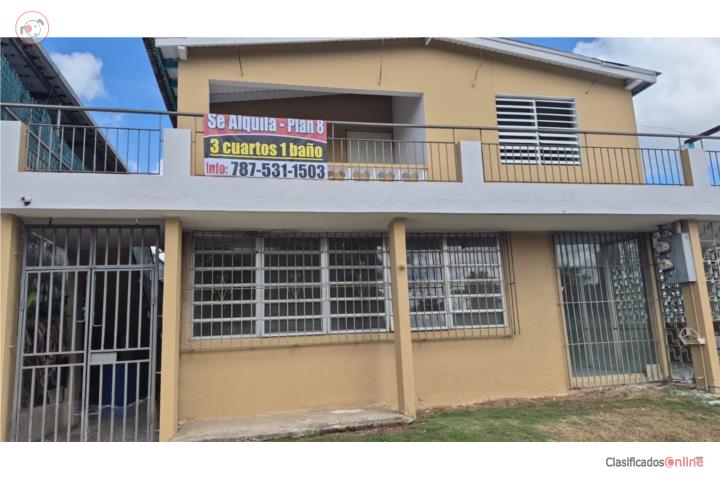 Plan 8 For Rent