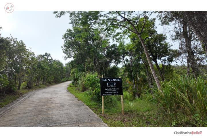 6-Cord Land Estate