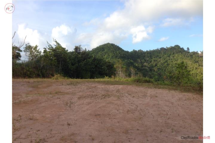 Beautiful lot in a prime location