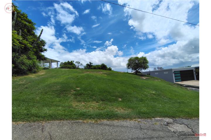 Lot for sale in Bo. Membrillo - Camuy