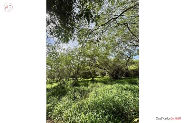Farm/Property - 6.08 cuerda