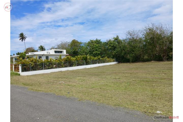 750m Solar for Sale - Cash