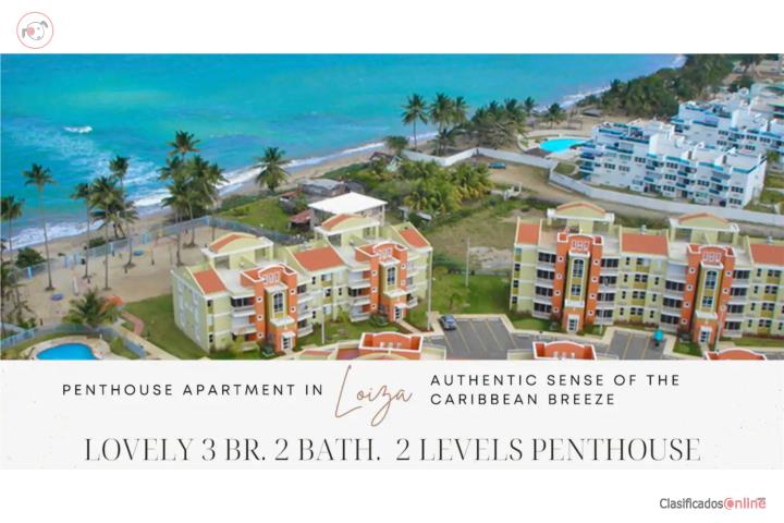 $285 - 000 | 3BR/2BA Penthouse | Ocean View