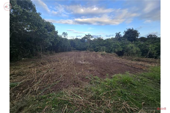 Santa Olaya Bungalow Beautiful Lot
