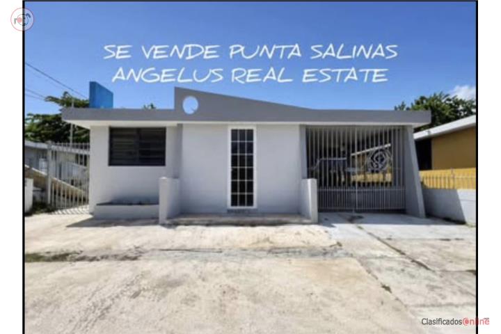 Punta Salinas - New Listing