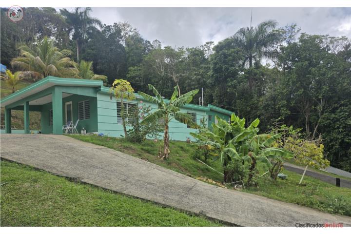 Beatriz / Guavate, Caguas - Two Houses